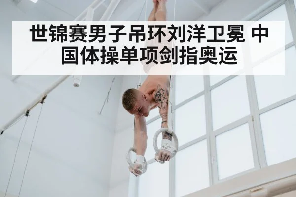 世锦赛男子吊环刘洋卫冕 中国体操单项剑指奥运